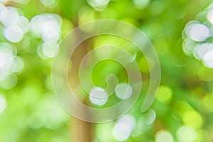 Green bokeh nature abstract background