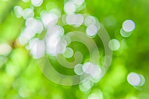 Green bokeh nature abstract background