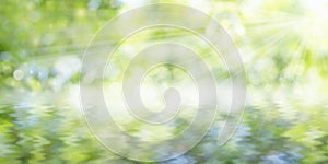 Green bokeh on nature art abstract blur background.