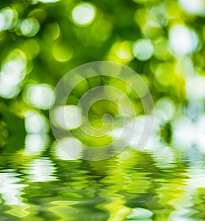 Green bokeh reflected in water. photo
