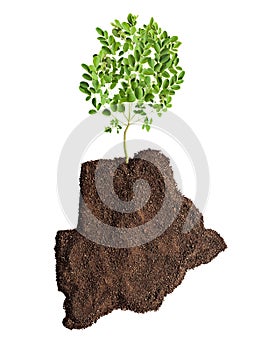 Green Botswana conceptual