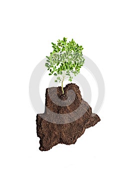 Green Botswana concept