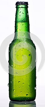 Green bottle of beer