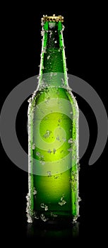 Green Bottle of beer