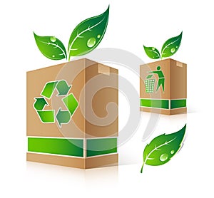 Green box