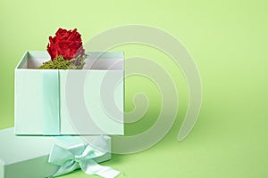 Green box open on its lid that has a gift bow. Inside the box is a nice red rose with green moss