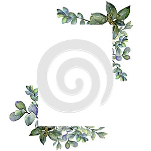 Green boxwood leaf. Leaf plant botanical garden floral foliage. Frame border ornament square.