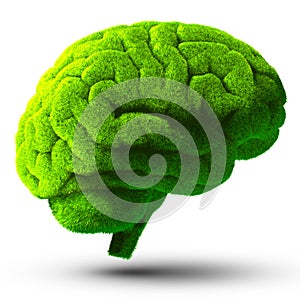 Grün Gehirn 