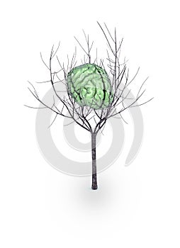 Green brain tree