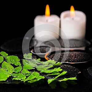 Green branch Adiantum fern with drops and candles on zen basalt