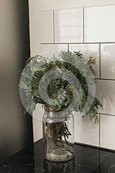 Green branch of juniper in glass vase on kitchen. Still life