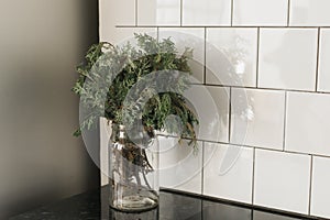 Green branch of juniper in glass vase on kitchen. Still life copy space and empty space for advertising