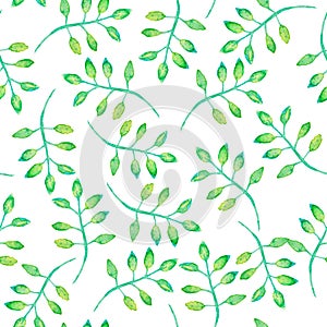 Green branch with leaves, watercolor painting plant - seamless pattern on white background