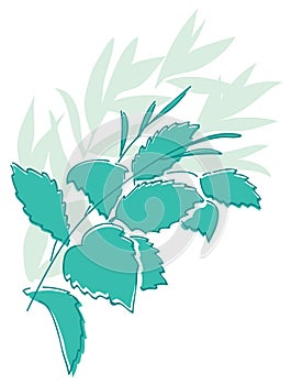 Green branch - vector floral element for design