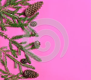 green branches of a Christmas tree with cones. Christmas composition on a pink background