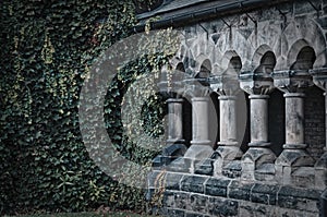 Green branches and leaves of ivy covering the wall step by step conquer ancient stone colonnade