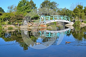 Green bridge