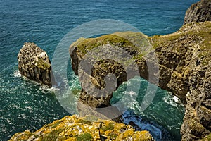 The Green Bridge of Wales and a rock stack with Razerbill gulls on the Pembrokeshire coast, Wales