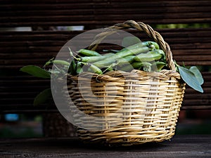 Green broad beans in a basket