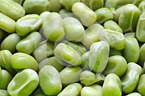 Green broad beans