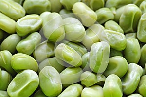 Green broad beans photo