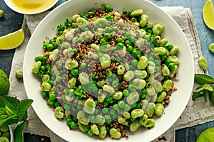 Green Broad beans and quinoa salad with sweet peas and mint. Healthy vegan food