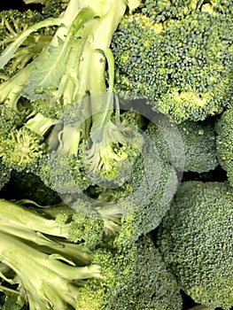 Green broccoli with drops of water, healthy nutritious vegetable that is low calorie with vitamins and nutrients, farmer`s market