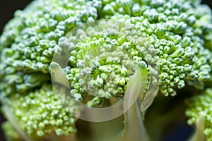 Green broccoli flowers