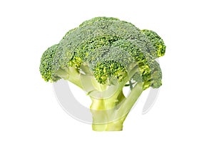 Green broccoli (isolated)