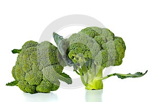 Green broccoli isolated on white background,  lifestyle