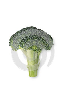 Green Broccoli isolated on white background with shadow