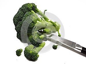 Broccoli released on white background