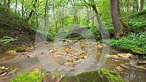 Green Brook river near Burnley. photo