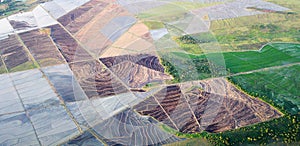 Green and brown agricultural fields