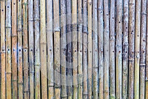 Green and brown Bamboo fence