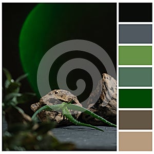 Green and brown colour palette. Color swatch.