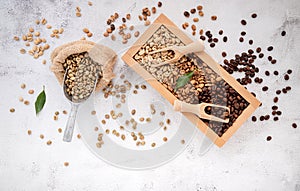 Green and brown decaf unroasted and dark roasted coffee beans in wooden box with scoops setup on white concrete background