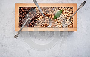 Green and brown decaf unroasted and dark roasted coffee beans in wooden box with scoops setup on white concrete background. with