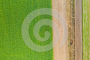 Green and brown field creating background structure from aerial view