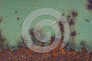 Green and Brown Rusty Texture on a Metal Plate