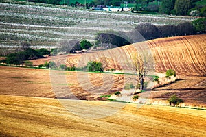 Green and brown spring ploughland. Rolling arable fields