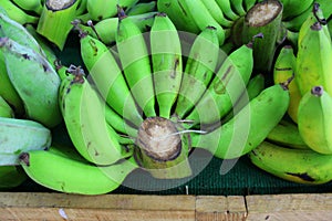 Green brown stalk of bananas on the counter.