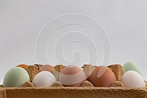 Green, brown and white eggs in a egg box