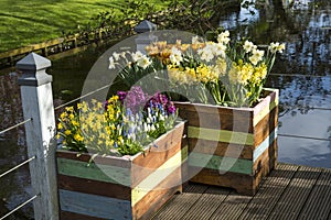 Wooden planters filled with bulbflowers near the waterside in a garden