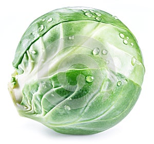 Green brussel sprout with water drops on white background