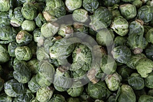 Green brussel sprouts