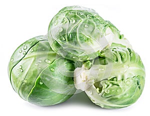 Green brussel sprouts with water drops on them on white background