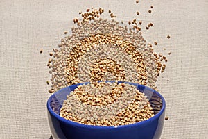 Green buckwheat in blue porcelain bowl, natural shadow.Dry unroasted whole grain superfood flat lay.Organic healthy food