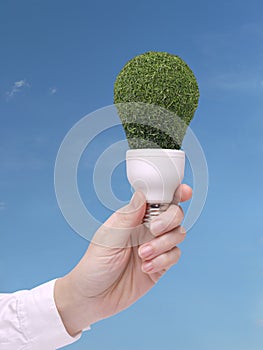 Green bulb
