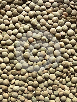 Green bulk lentils